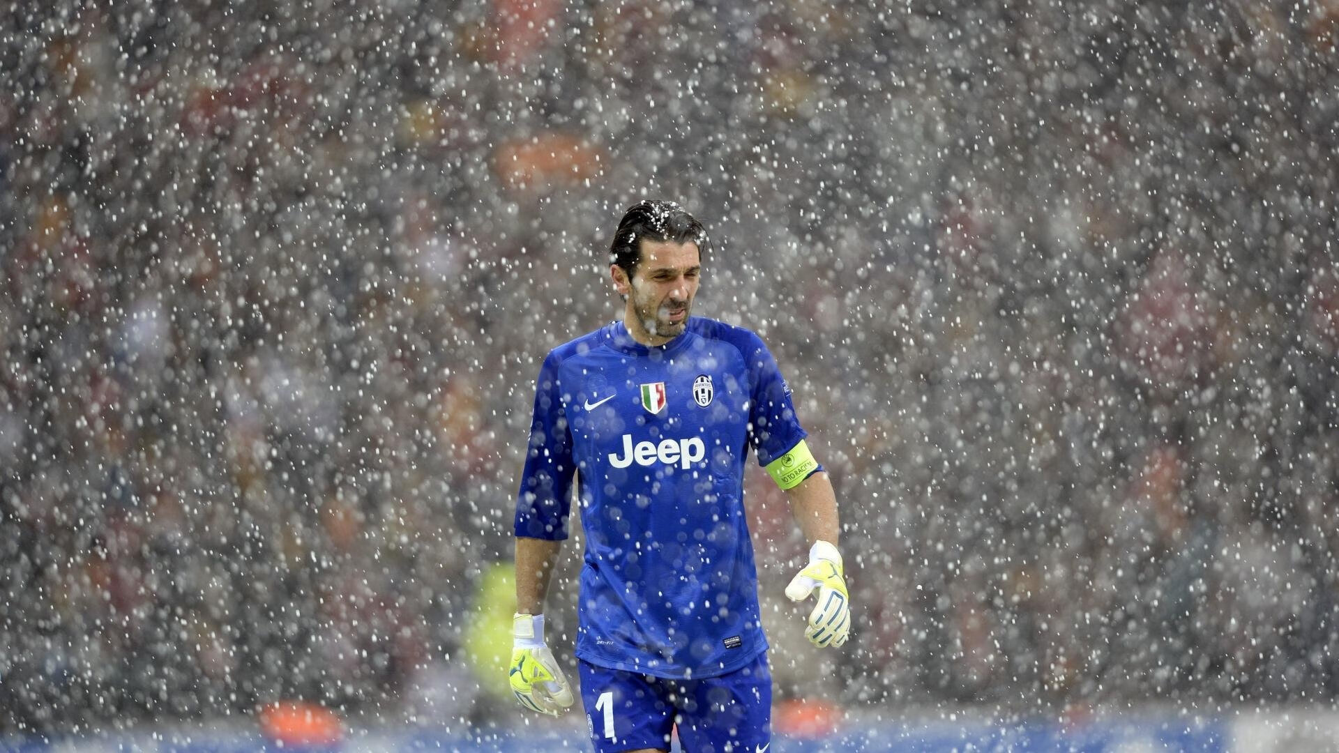 “菁英出战”——新手逐渐崭露头角的动人故事